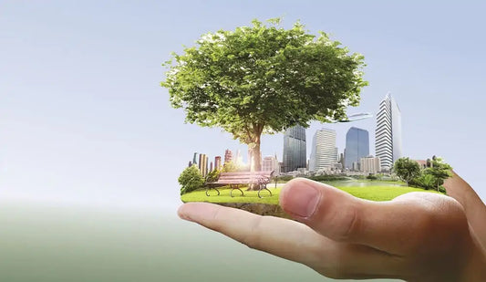 Maçonaria - A Evolução da Consciência Ambiental